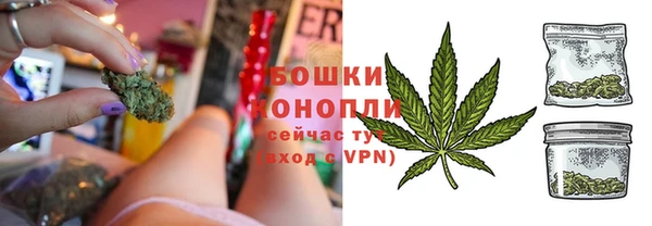 тгк Бородино