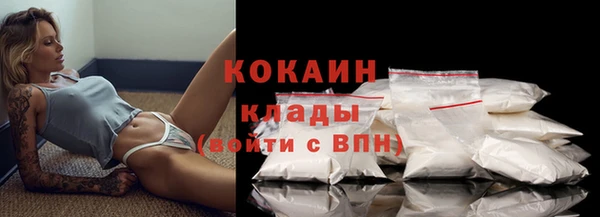 тгк Бородино