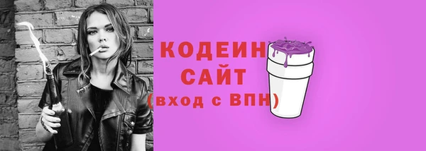 тгк Бородино