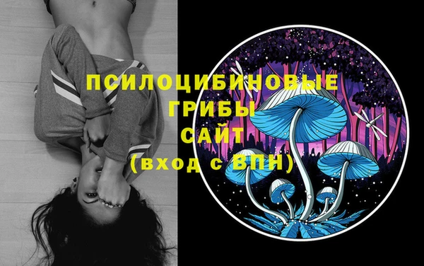 тгк Бородино