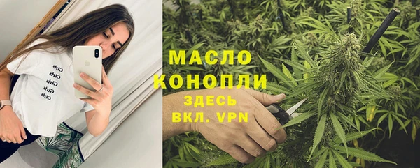 тгк Бородино