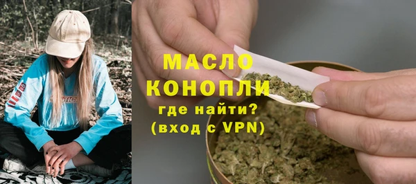 тгк Бородино